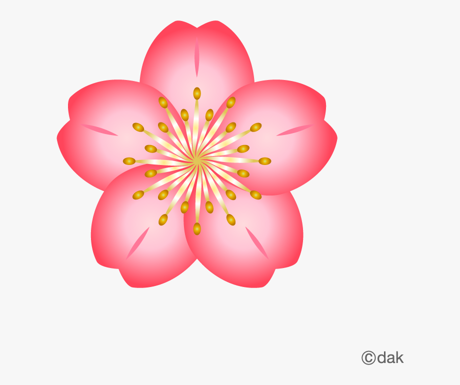 Цветок сакуры шаблон. Цветочки мультяшные. Цветы Сакуры. Розовый цветок для детей. Цветочки Сакуры для вырезания.