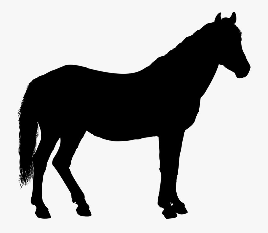 clip art horse silhouette Clip Art Library