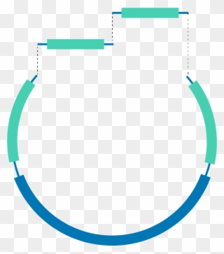 Abstract circular diagram with teal and blue curved lines and dashed connections on a transparent background.