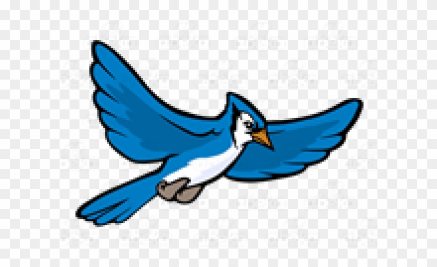 flying drawing blue jay bird - Clip Art Library