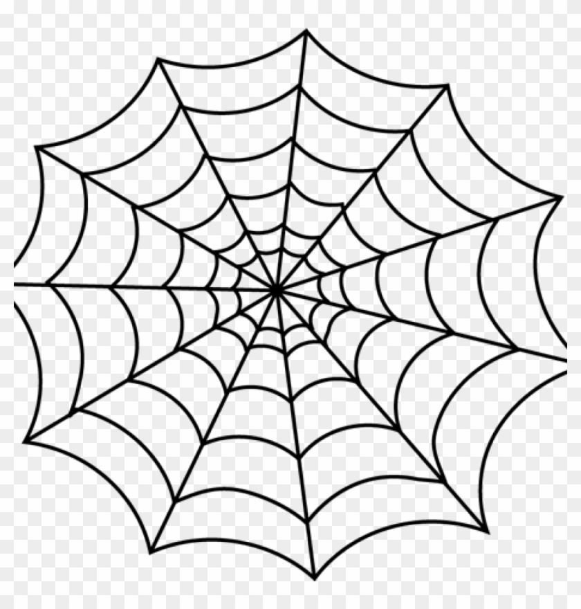 Black and white spider web design on transparent background