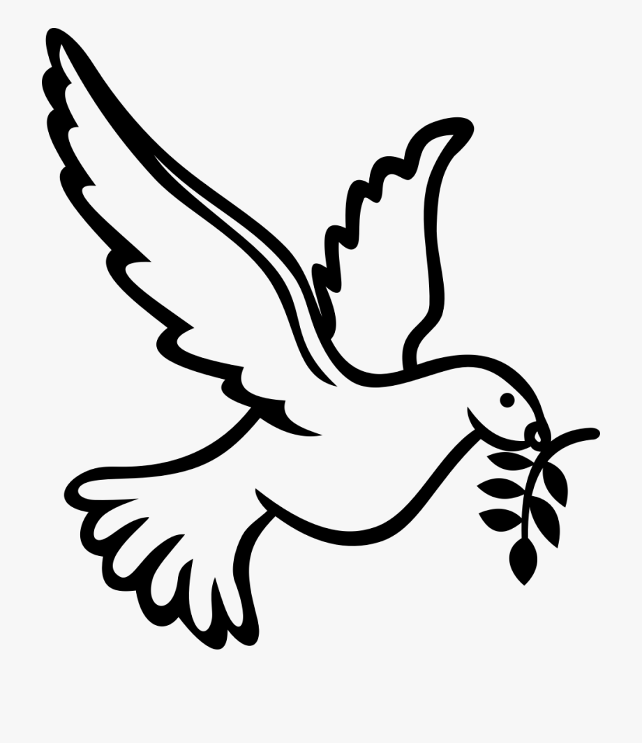 Holy Spirit in Christianity Doves as symbols Drawing Dove s s  christianity white png  PNGEgg