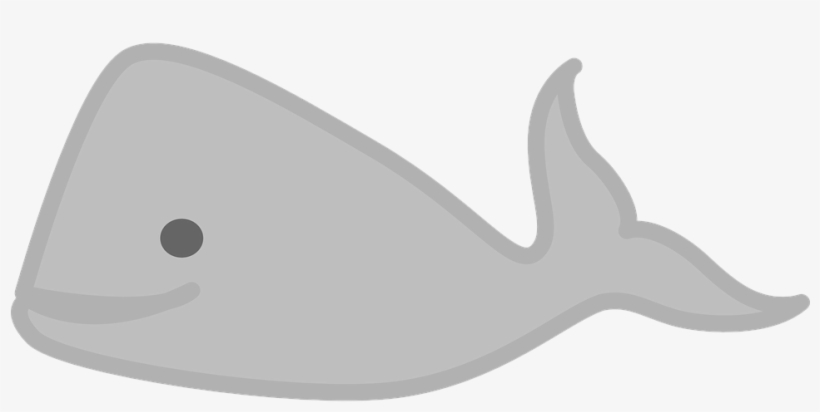 gray whale cliparts