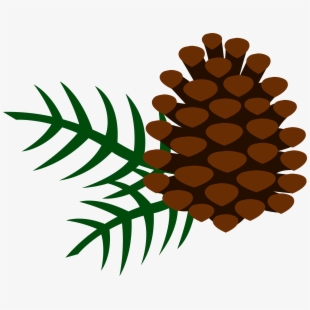 Pine Needle Clipart 2 By Hailey - Clip Art Pinecone , Transparent 