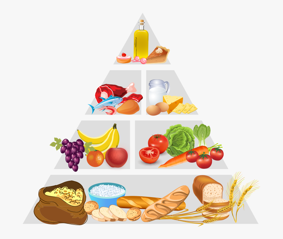 Free Food Pyramid Clipart, Download Free Food Pyramid Clipart png ...