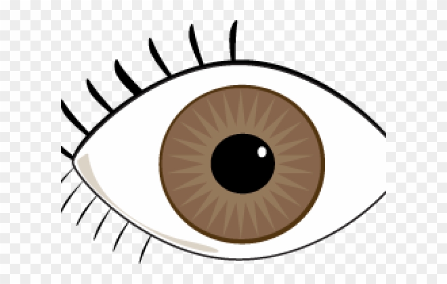 Female Eyes Brown PNG Clip Art - Best WEB Clipart