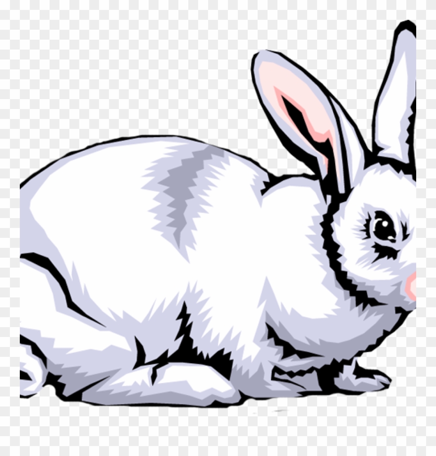 Кролик отрисовка