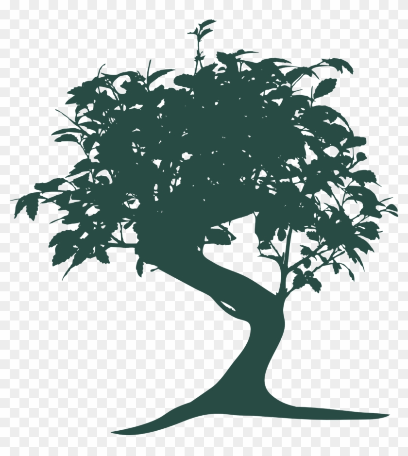 bonsai tree clipart