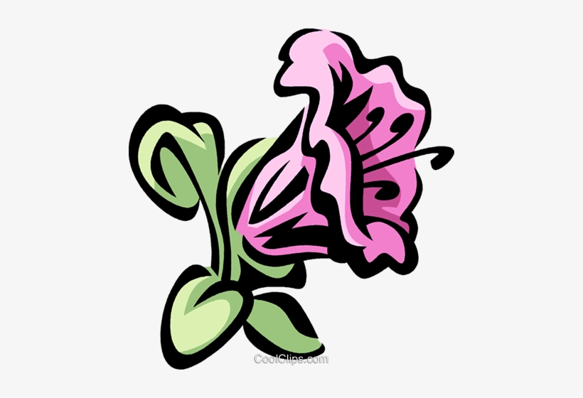 Pink Flower Cartoon clipart - Flower, Pink, Plant, transparent 