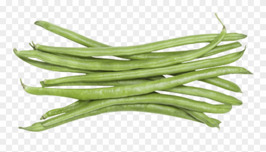 Free Green Bean Cliparts, Download Free Green Bean Cliparts png images ...