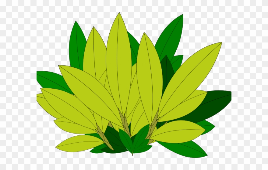 A stylized illustration of green and yellow leaves in a cluster, resembling a plant or foliage design.