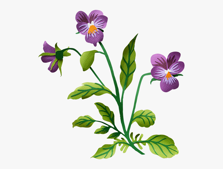 pansy flower clip art - Clip Art Library