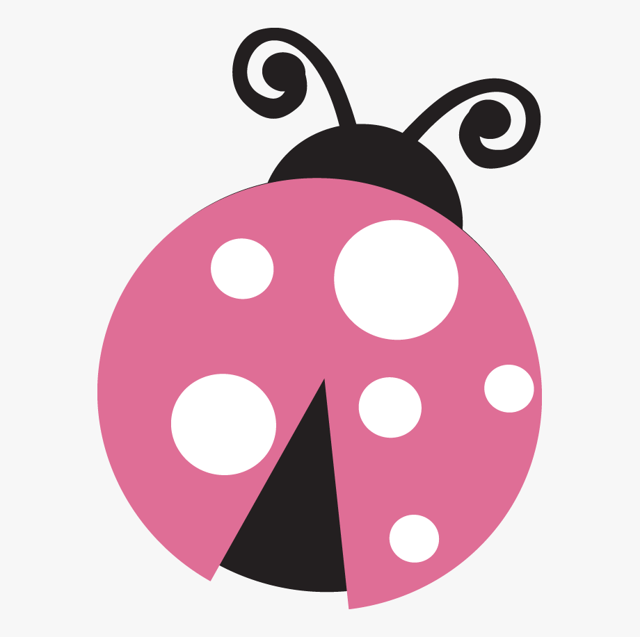 Ladybug Png Alta Resolução - Ladybug Rosa, Transparent Png - 800x768  (#153095) - PinPng