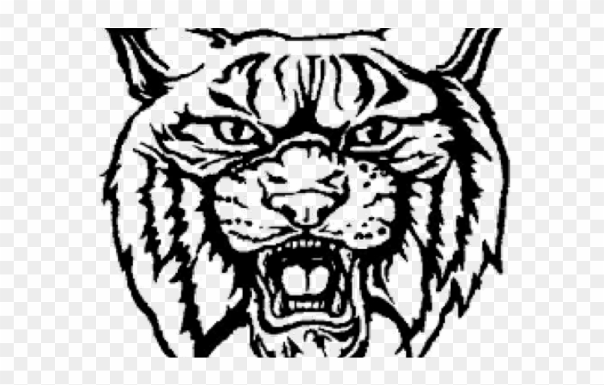wildcat face cliparts