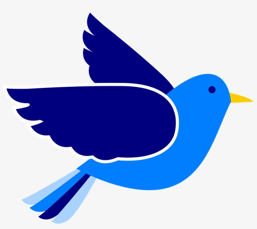 transparent bird cliparts