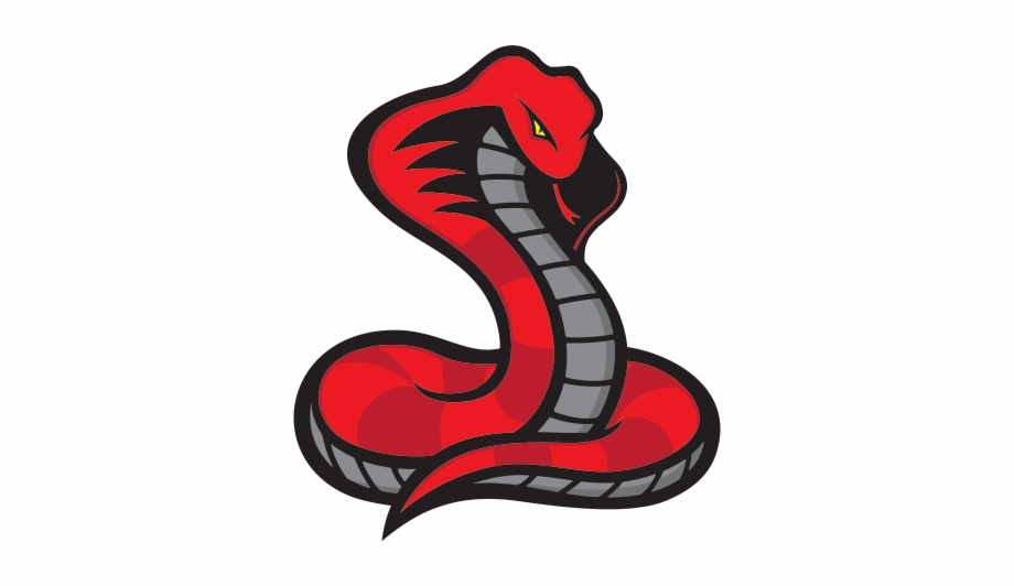 Персонажи кобры. Змея логотип. Змея мультяшная. Кобра эмблема. Кобра мультяшная.