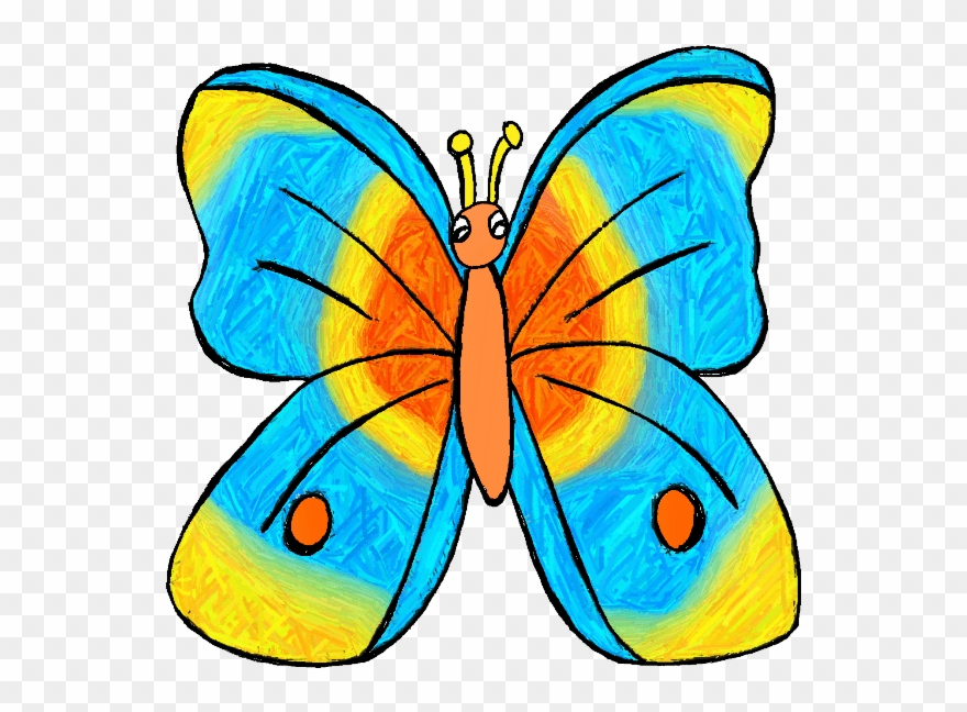 animal butterfly cliparts