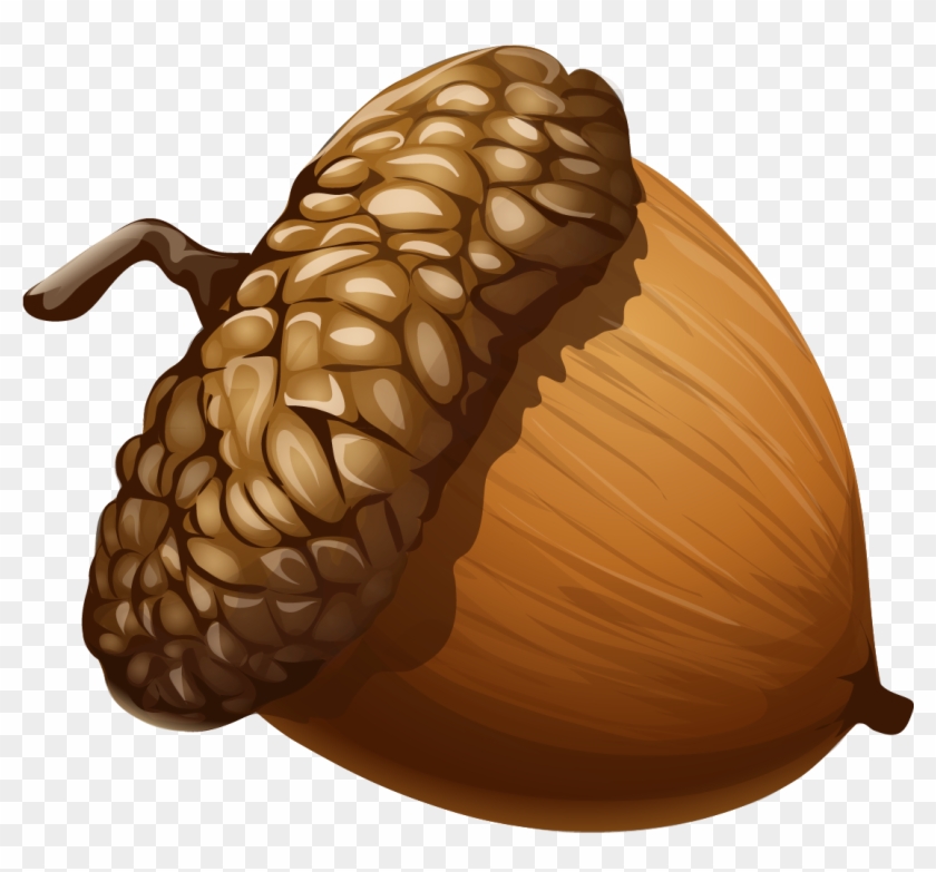 Acorn Clip Art Free Downloadable Images And Illustrations