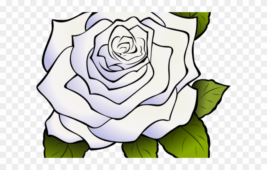 white rose clipart