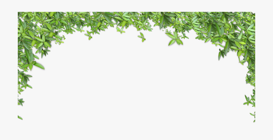 Green leafy plant border framing the top and sides of the image on a white background.