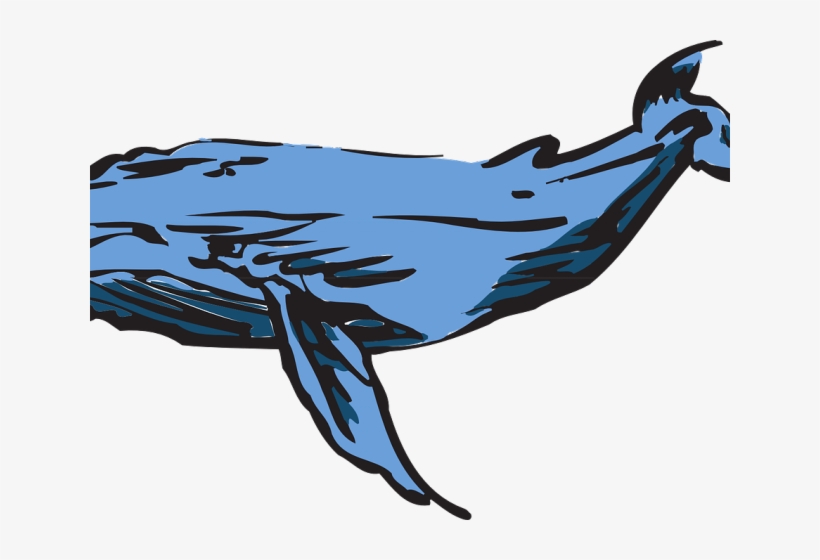 humpback whale clipart