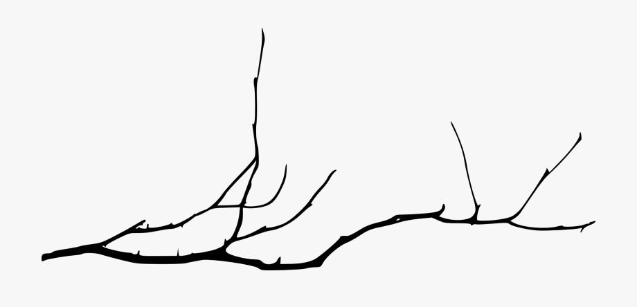Dead Tree Branch Isolated Vector Tree Branches Silhouette Stock Illustration  - Download Image Now - iStock