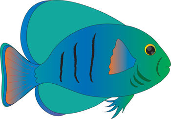 teal fish cliparts