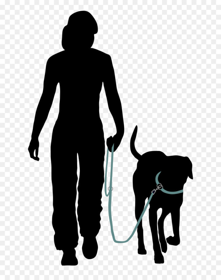 obedience training clip art