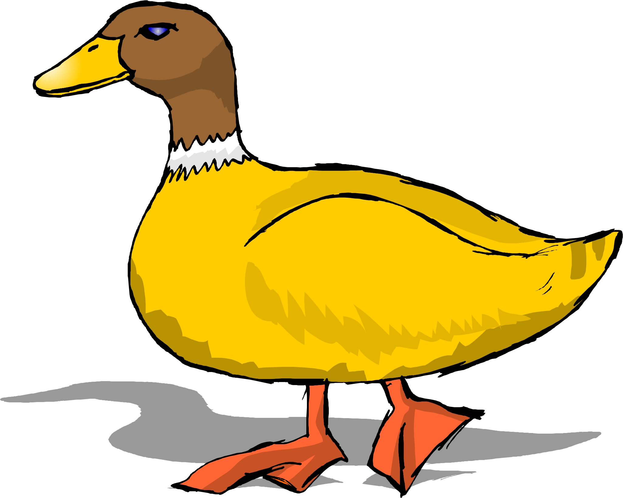 clipart of duck - Clip Art Library