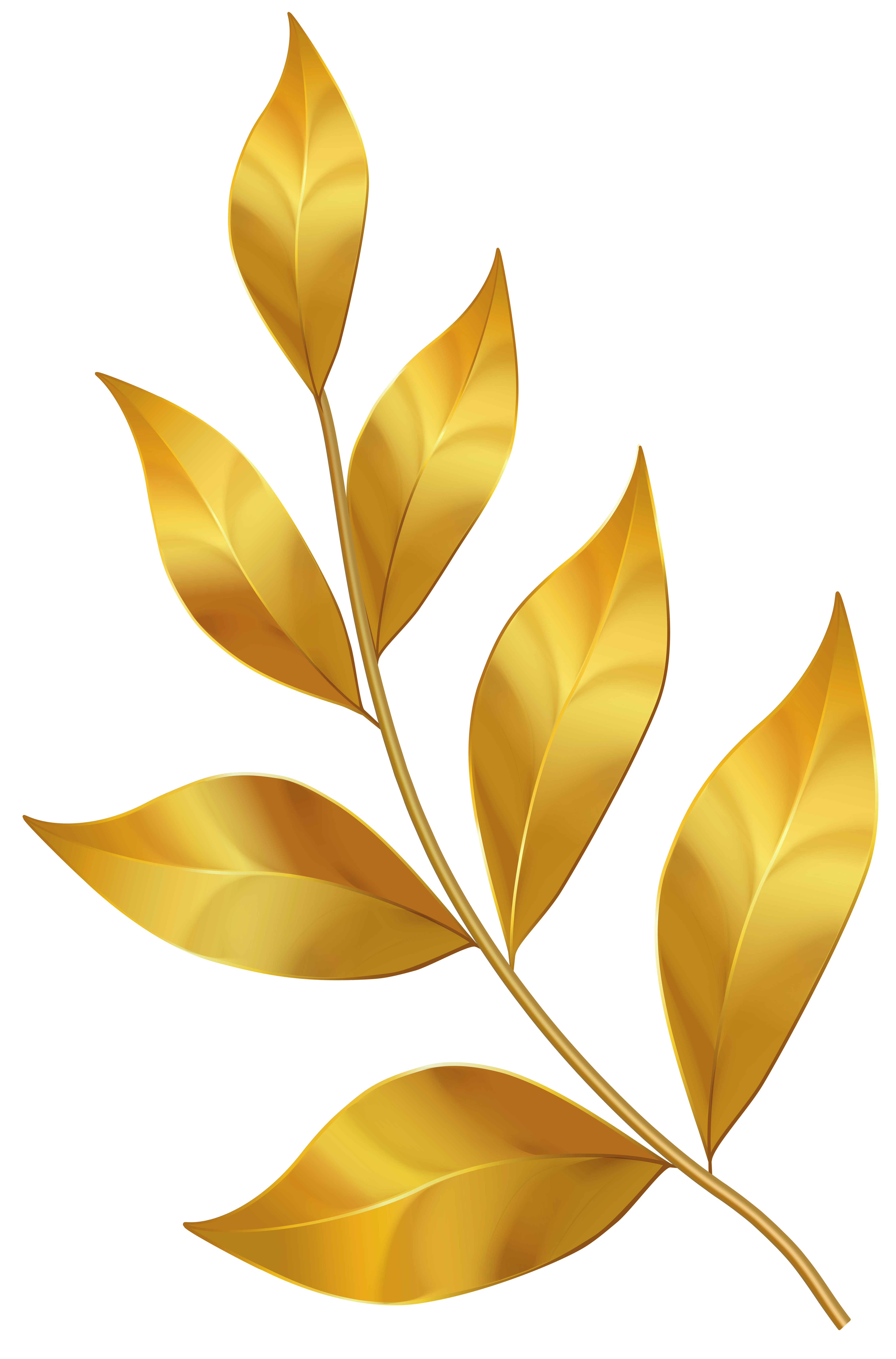 Золотистый листок. Золотистые листья. Золотая веточка. Золотые листья вектор. Ветка с листьями.