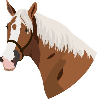 horse face cliparts
