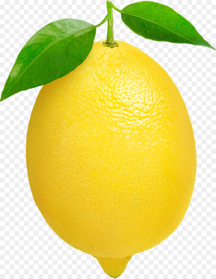 Free Lemon Outline Cliparts, Download Free Lemon Outline Cliparts png ...