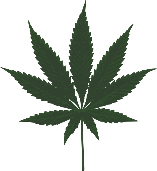 A dark green cannabis leaf with seven pointed lobes on a white background.