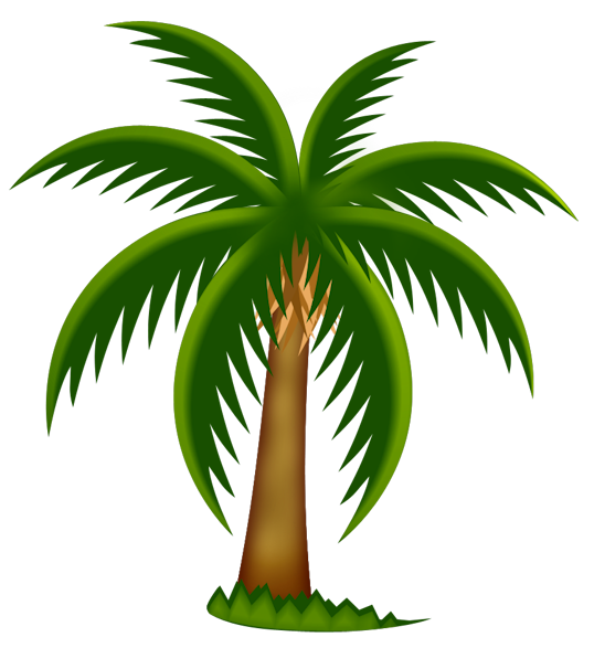 A vibrant green palm tree with a brown trunk and fronds, set against a white background.