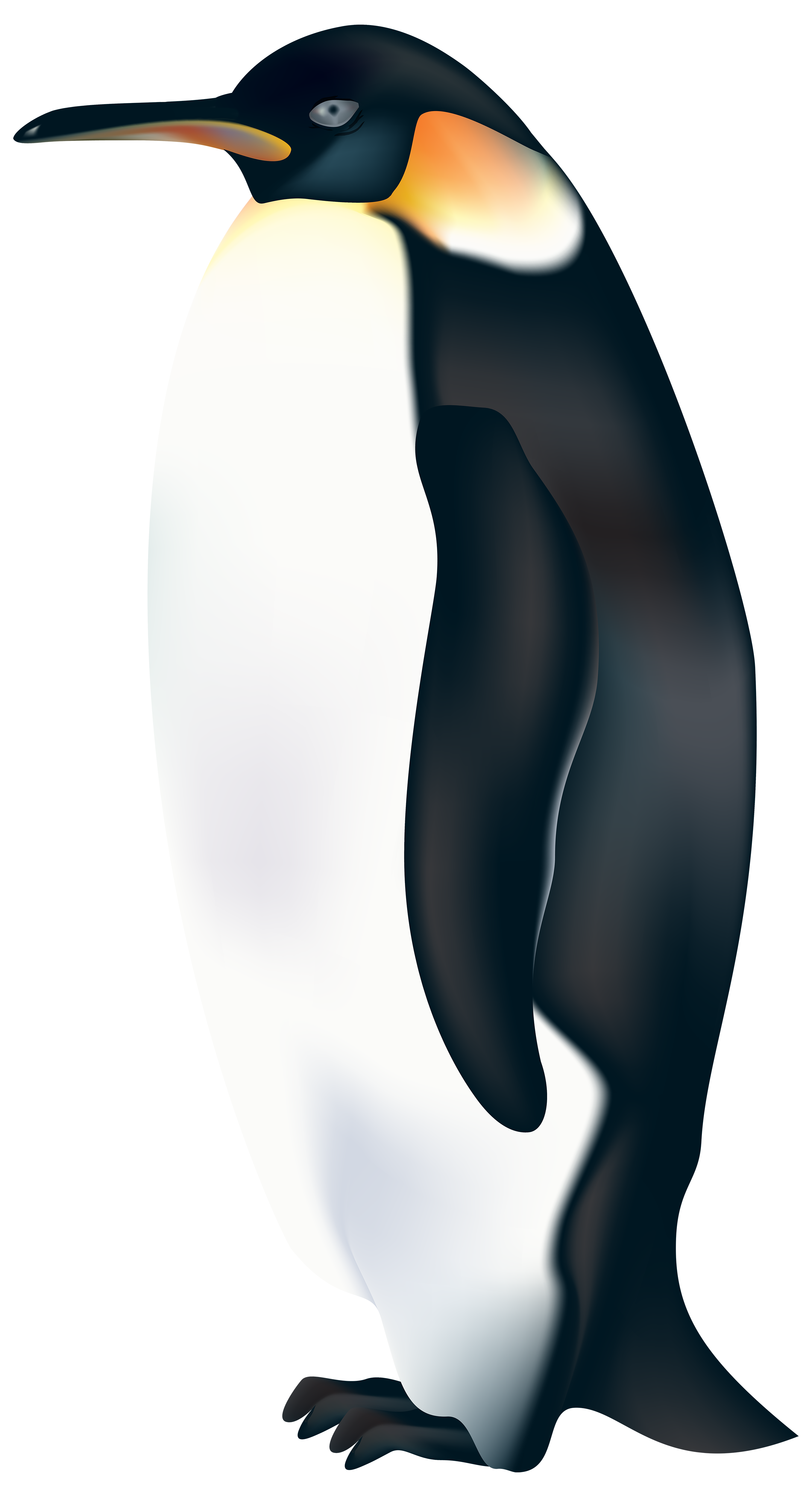 Emperor Penguin Clipart Clip Art Library