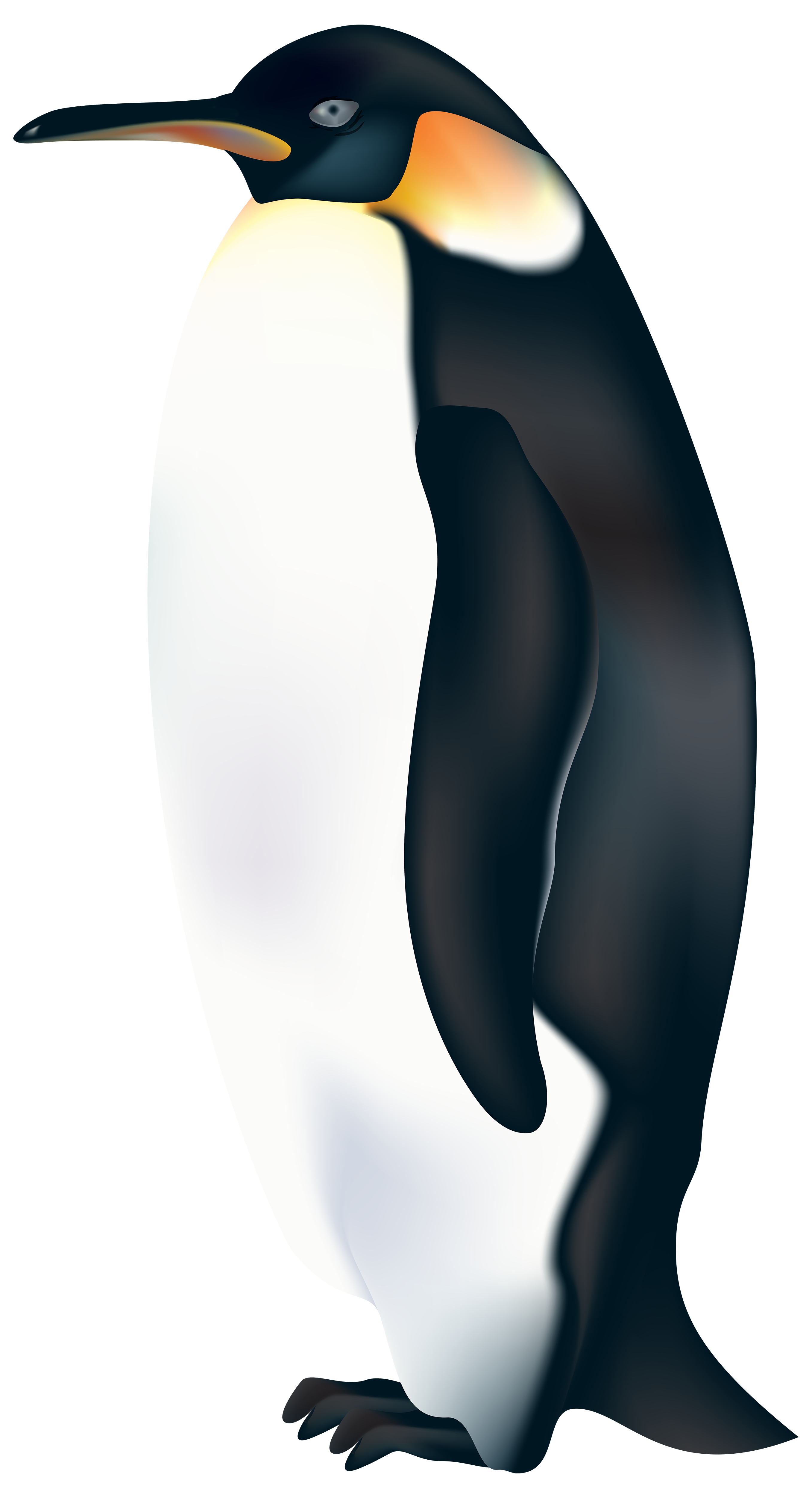 Free Penguin Clip Art Download Free Penguin Clip Art Png Images Free 