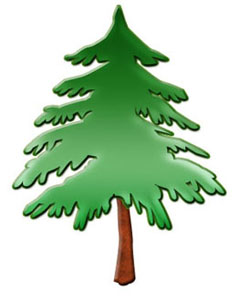 free pine cliparts