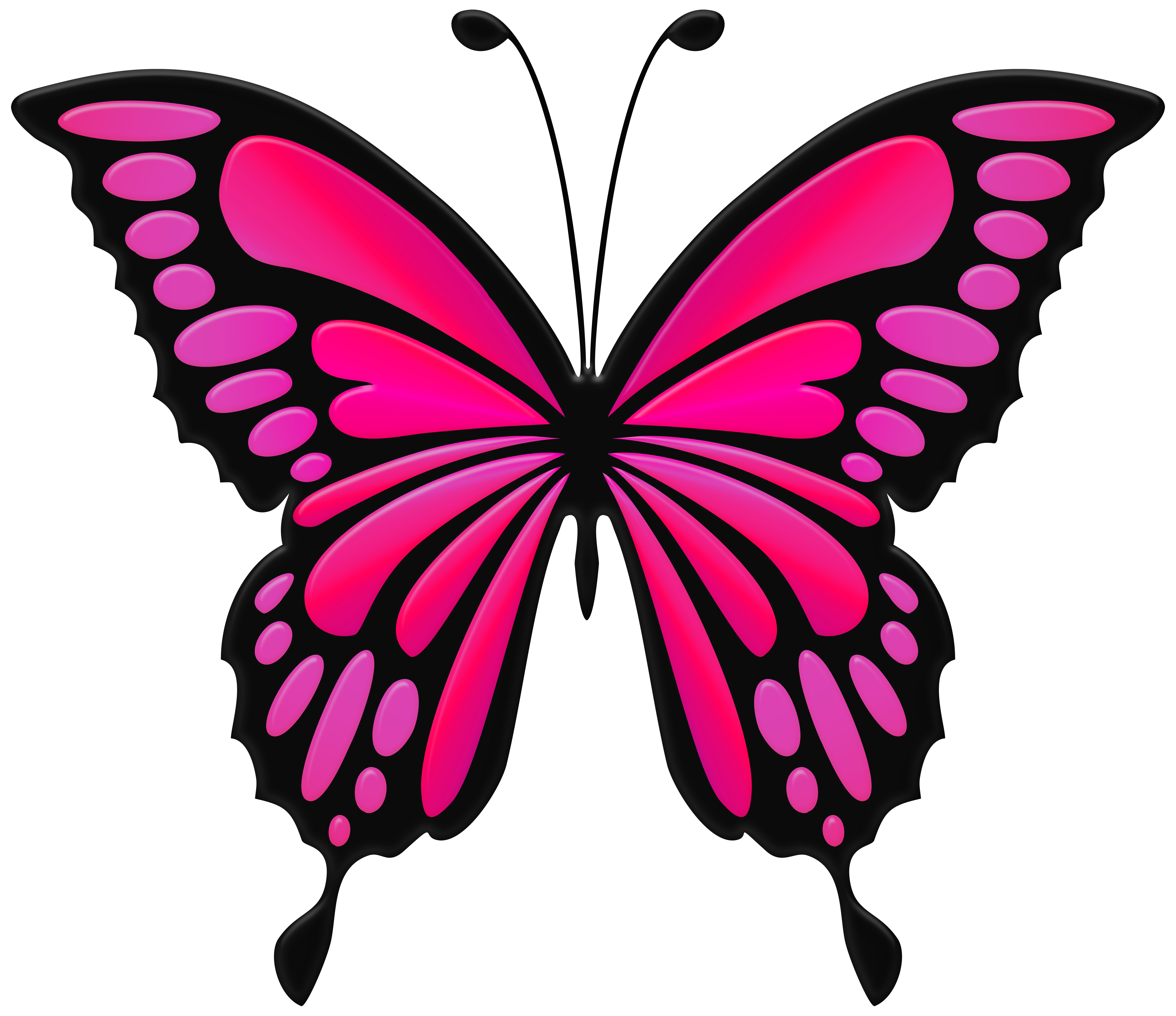 Clipart Pink Butterfly Clipart Pink Butterfly