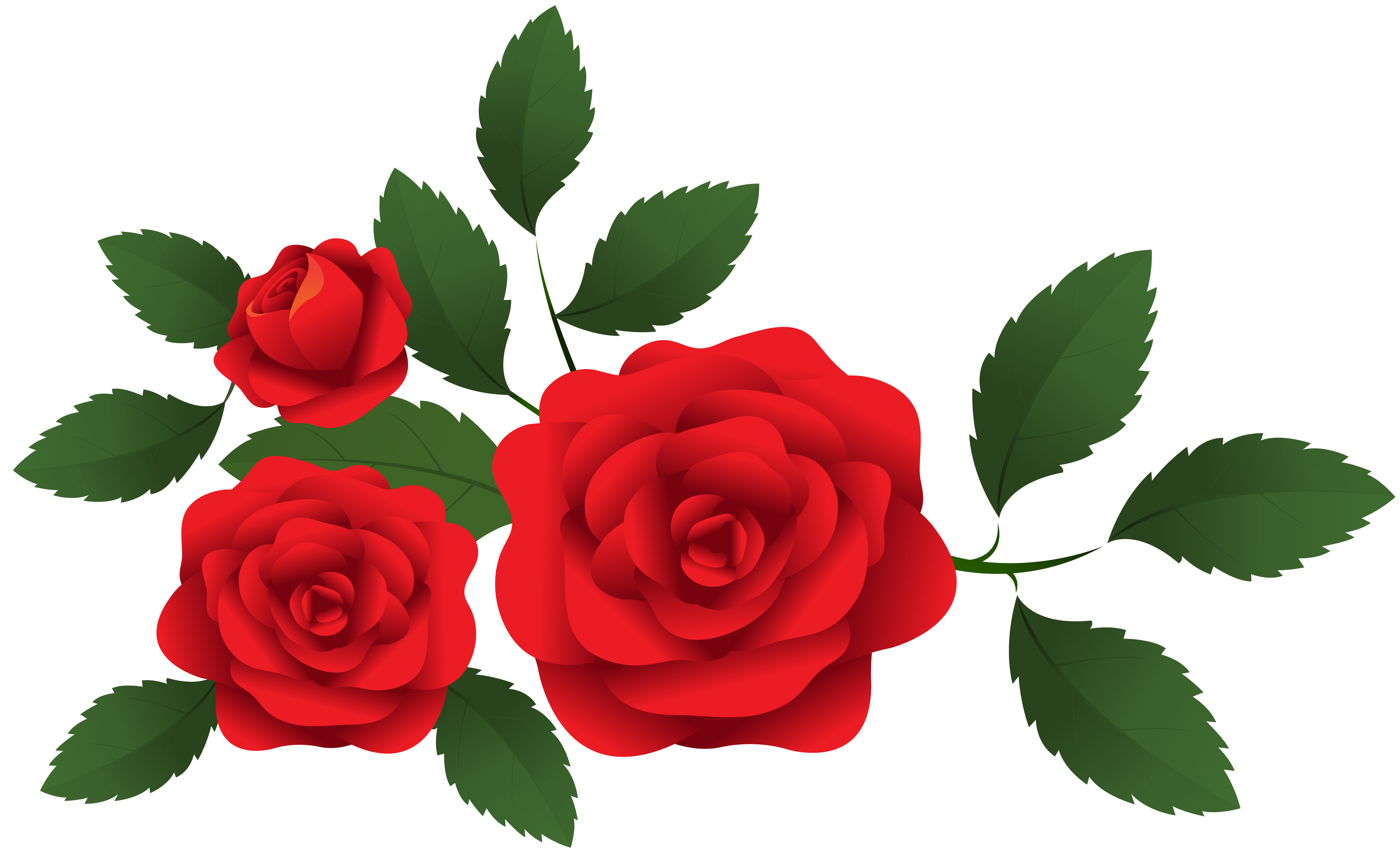 Red Roses Clip Art Images Free Clipart Images Clipart - vrogue.co