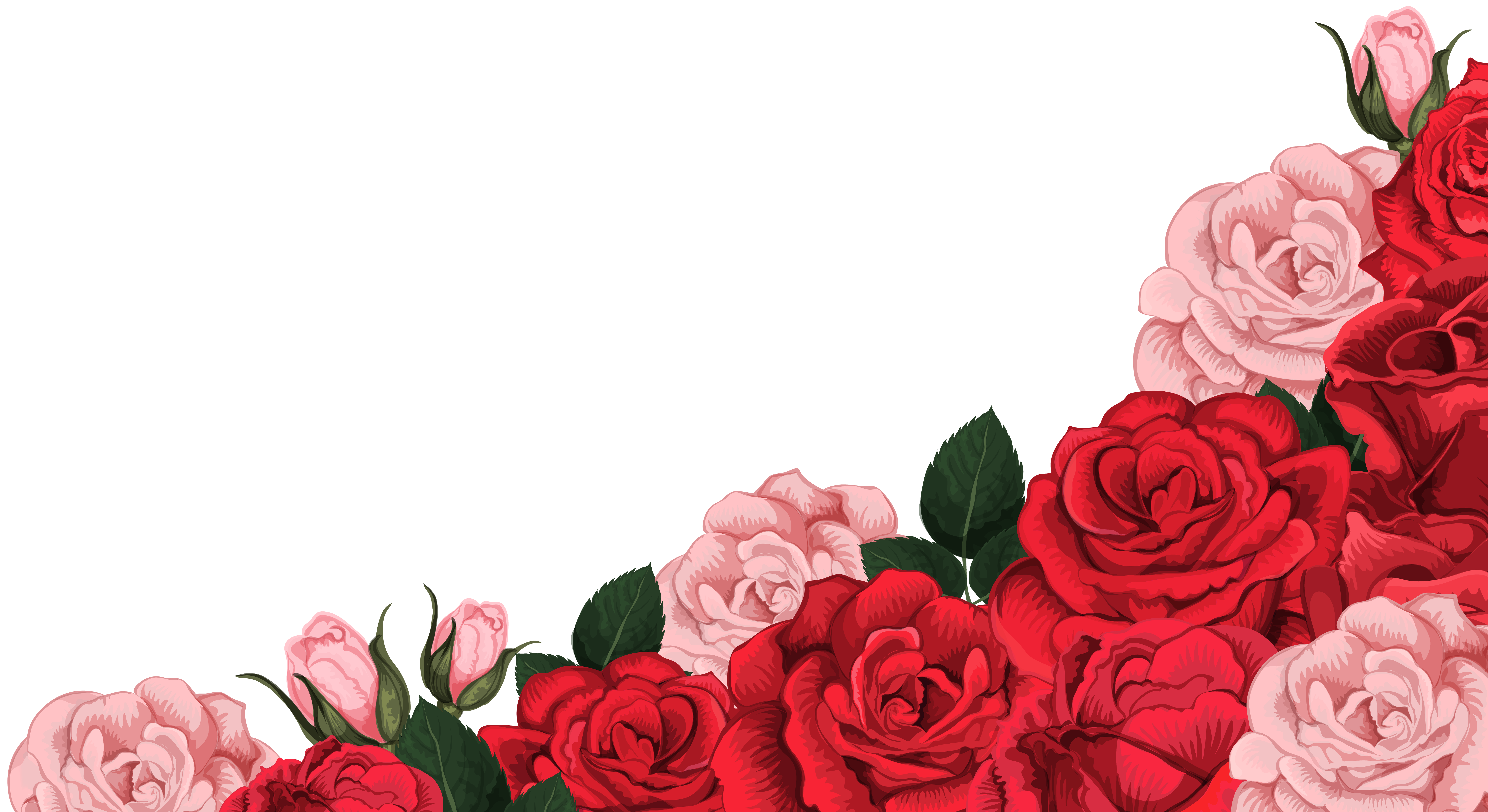 Red Rose Png Rose Flower Png Flower Border Png Red Rose Petals | Sexiz Pix