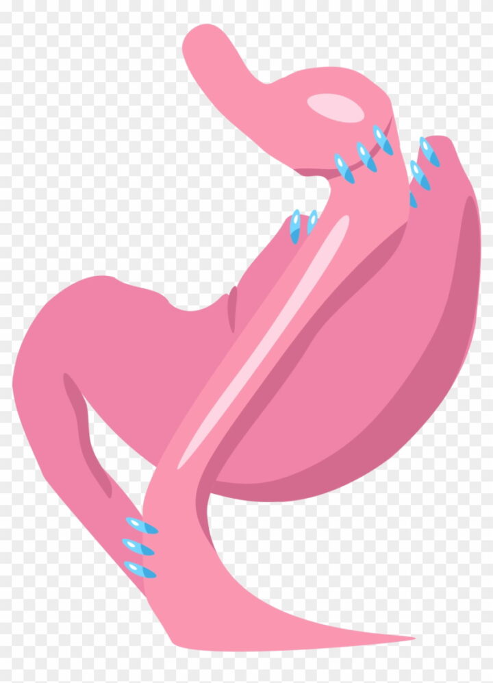 Pink cartoon illustration of a human stomach with blue highlights on the surface.