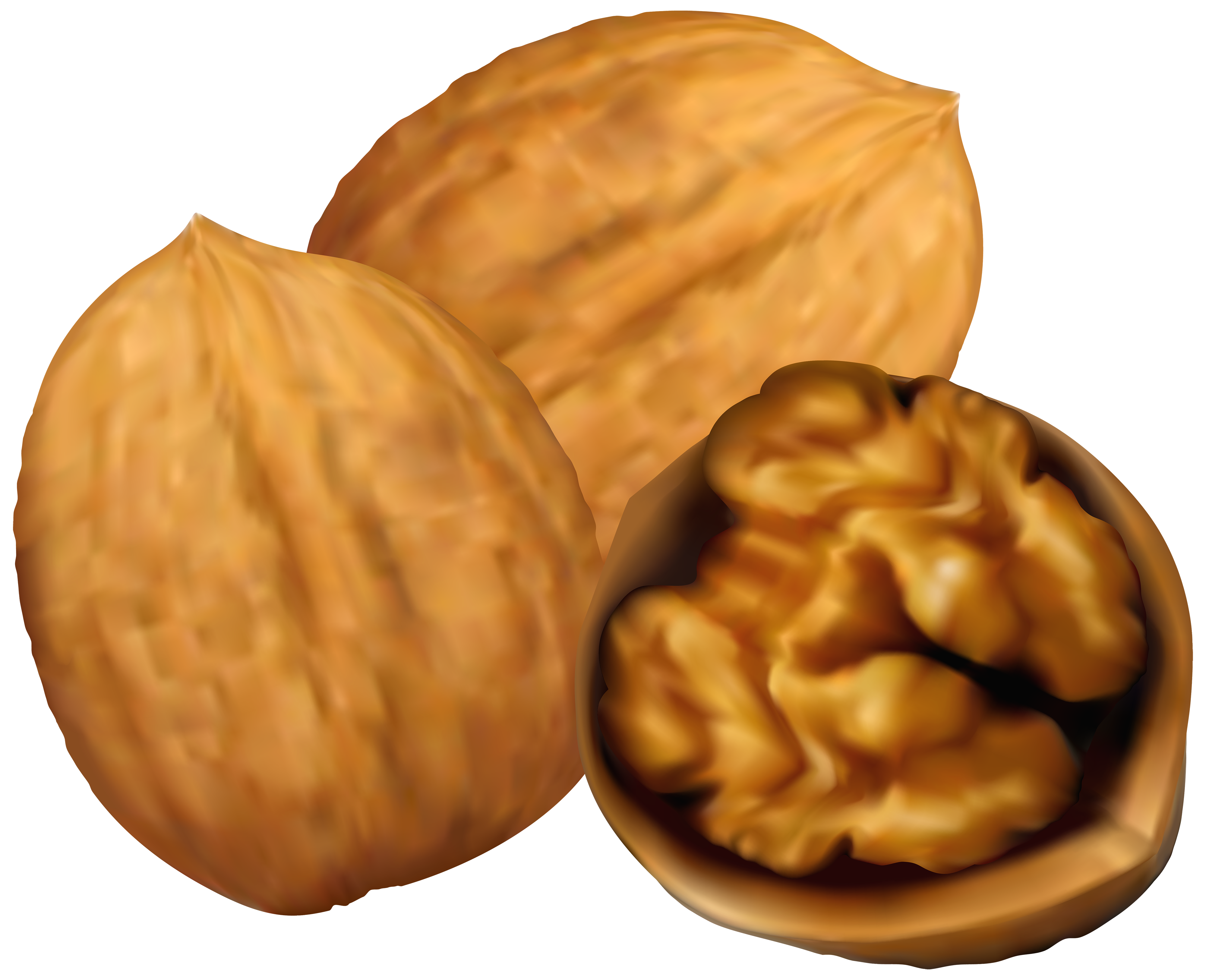 Two whole walnuts and one cracked walnut showing the kernel inside, all with a natural brown color and textured surface.