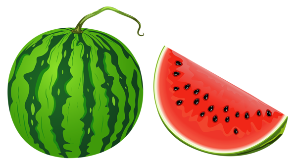 watermelon cliparts