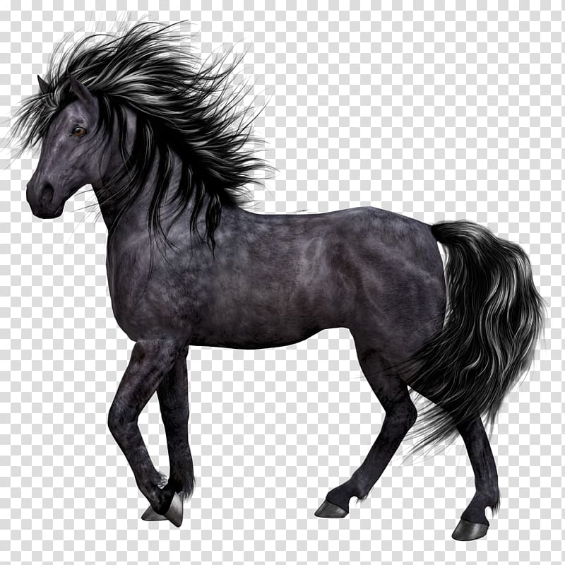 Free Horse Clipart 2018, Download Free Horse Clipart 2018 png images ...