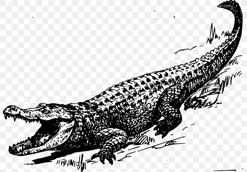 alligator black and white - Clip Art Library