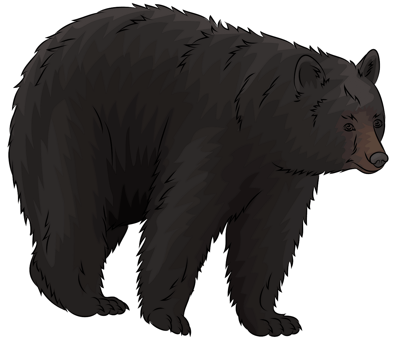 0 Result Images of Black Bear Clipart Png - PNG Image Collection