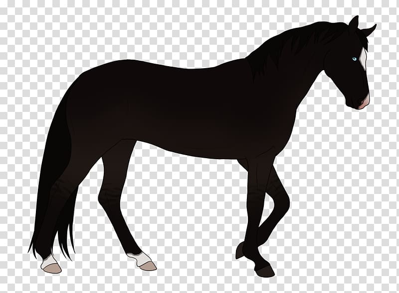 American Quarter Horse Stallion Friesian horse Black , Splash 