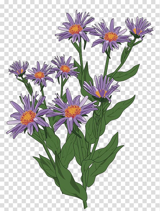 Free green wildflower cliparts download free green wildflower cliparts