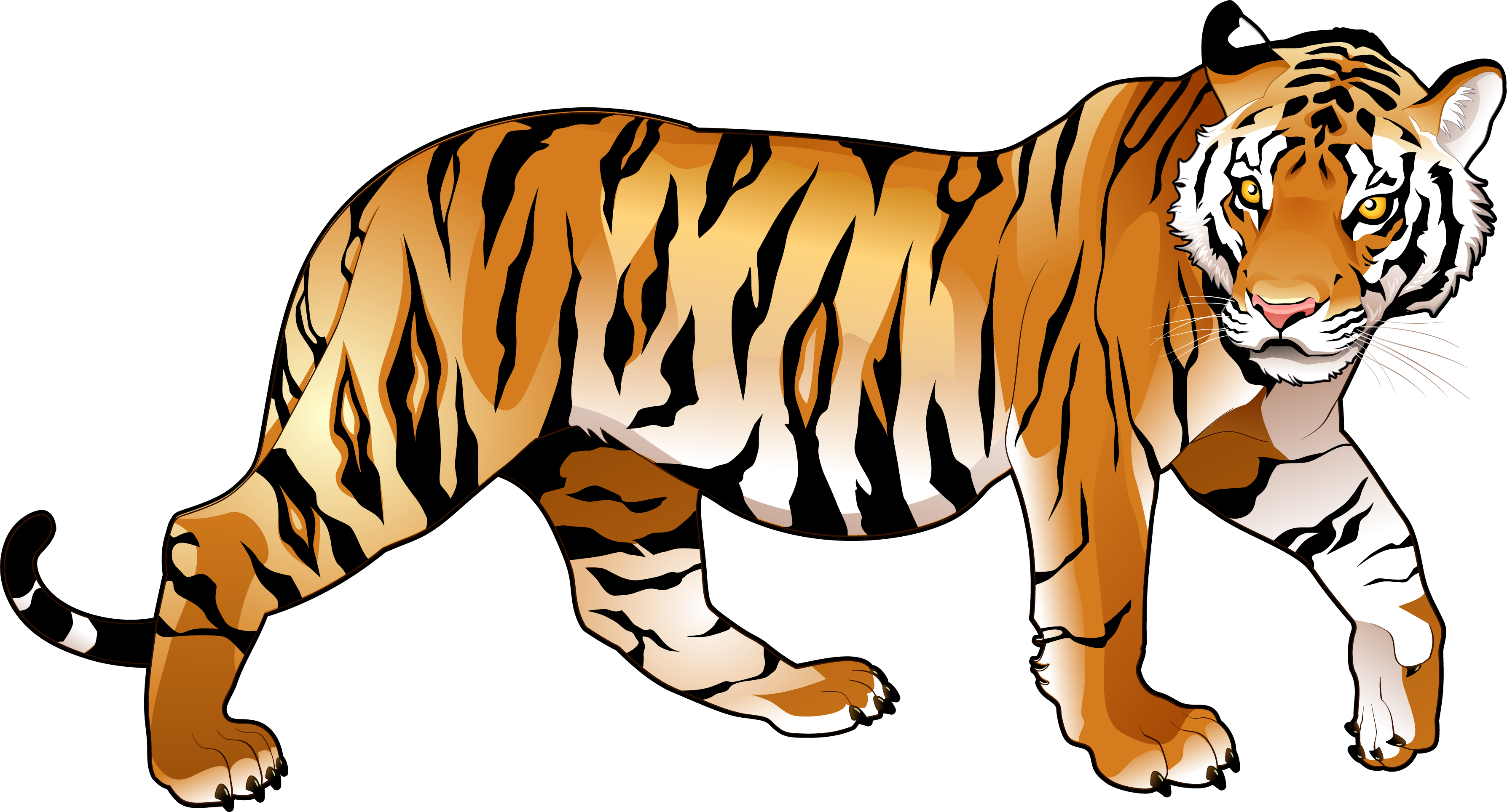 Bengal Tiger Clipart Transparent De Tigre Animado Free | Images and ...