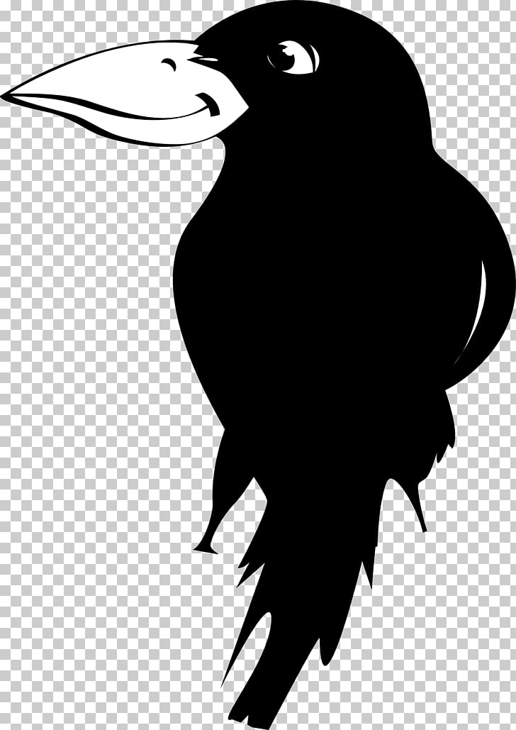 Bird Carrion crow Owl, crow PNG clipart | free cliparts 